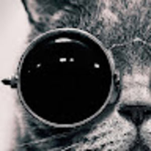 Meet your Posher, Ava